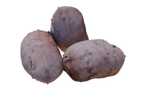 Potatos 3D Model