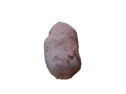 Potatos 3D Model