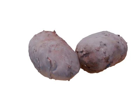 Potatos 3D Model