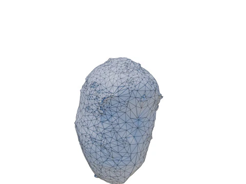 Potatos 3D Model