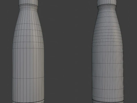 Sport Water Bottle 3D Model