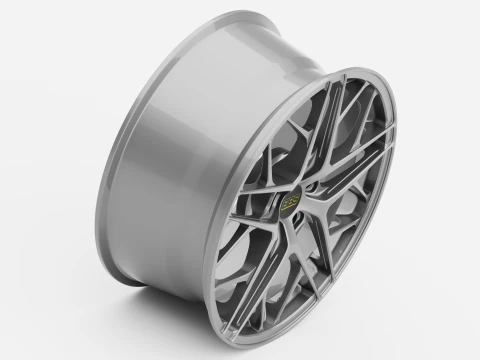 BBS FL 3D Model