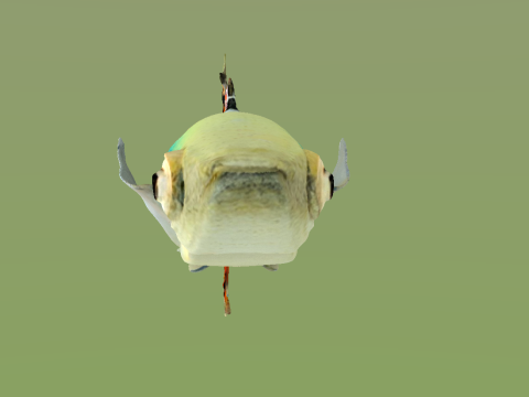 10 aquarium fish OWENDAL Model 3D