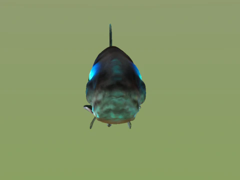 10 aquarium fish OWENDAL 3D Model