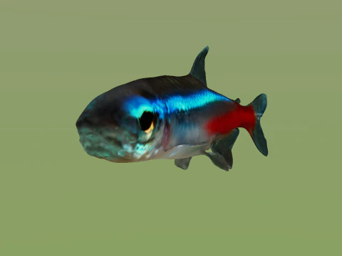 10 aquarium fish OWENDAL 3D Model
