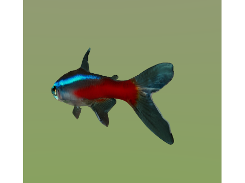 10 aquarium fish OWENDAL Model 3D