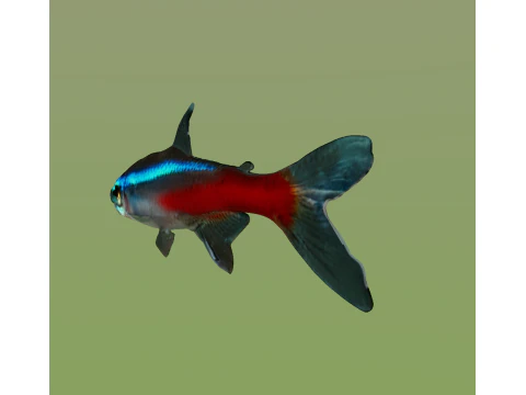 10 aquarium fish OWENDAL 3D Model