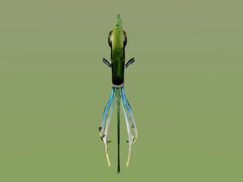 10 aquarium fish OWENDAL 3D Model