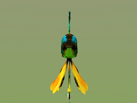 10 aquarium fish OWENDAL Model 3D