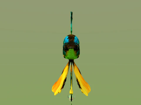 10 aquarium fish OWENDAL 3D Model