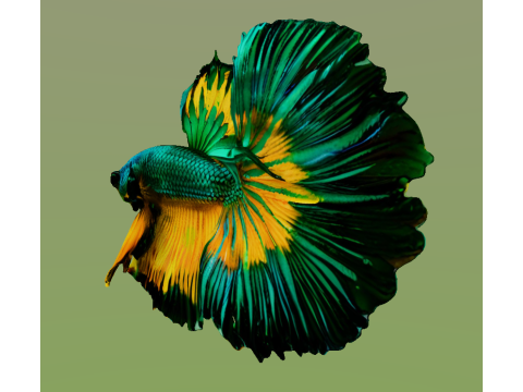 10 aquarium fish OWENDAL Model 3D