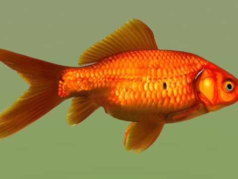 10 aquarium fish OWENDAL Model 3D