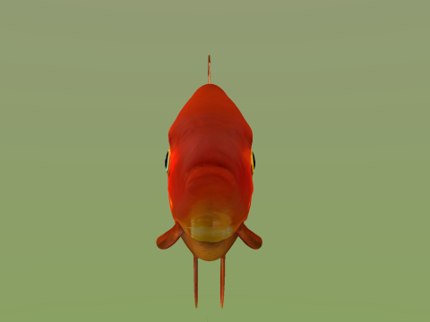 10 aquarium fish OWENDAL Model 3D