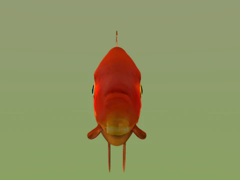 10 aquarium fish OWENDAL 3D Model