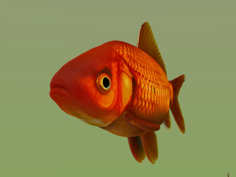 10 aquarium fish OWENDAL Model 3D