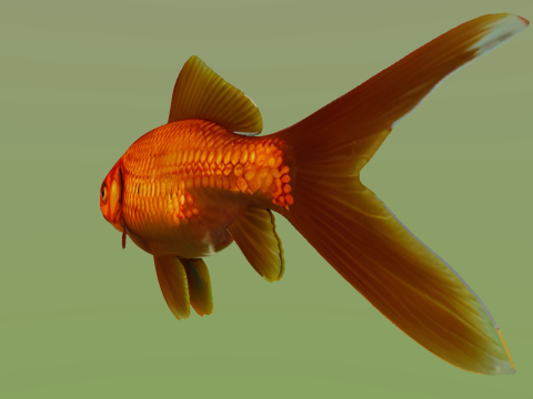 10 aquarium fish OWENDAL Model 3D