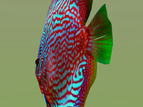 10 aquarium fish OWENDAL Model 3D
