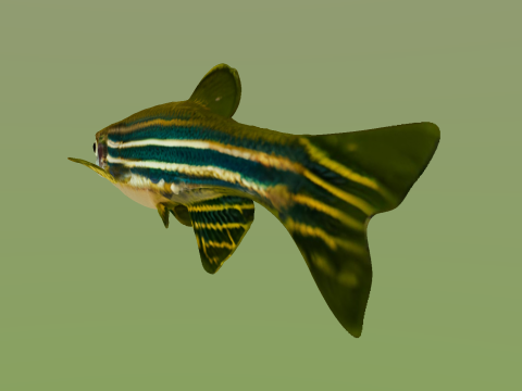10 aquarium fish OWENDAL Model 3D