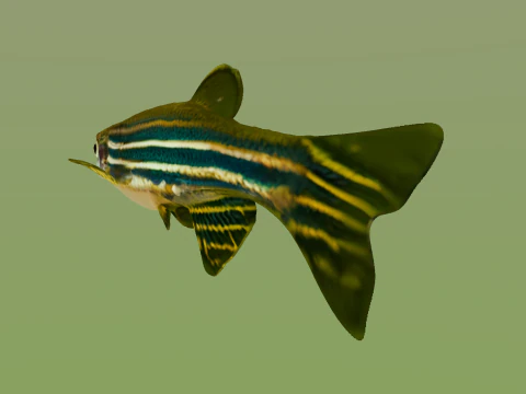 10 aquarium fish OWENDAL 3D Model