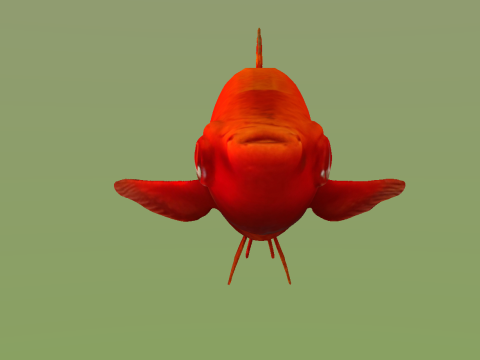10 aquarium fish OWENDAL Model 3D