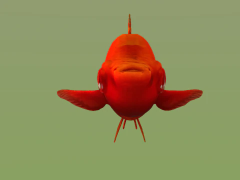 10 aquarium fish OWENDAL 3D Model