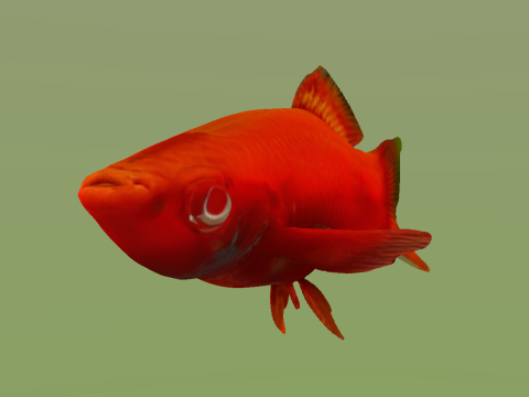 10 aquarium fish OWENDAL Model 3D