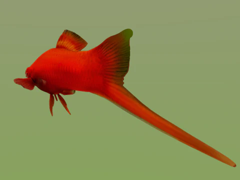 10 aquarium fish OWENDAL 3D Model