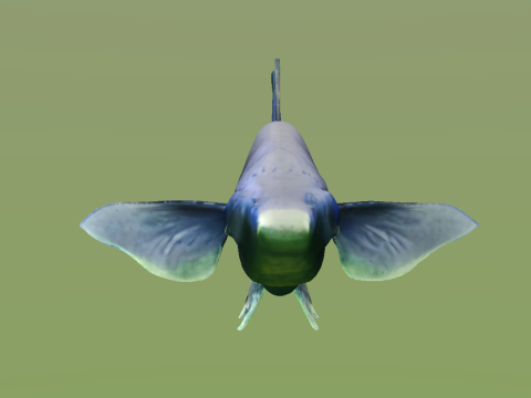 10 aquarium fish OWENDAL Model 3D