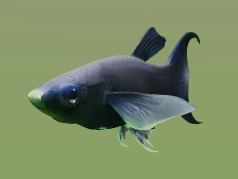 10 aquarium fish OWENDAL Model 3D