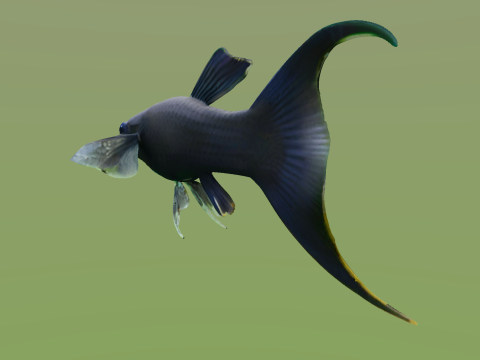 10 aquarium fish OWENDAL Model 3D