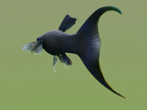 10 aquarium fish OWENDAL 3D Model