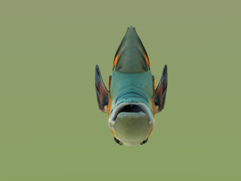 10 aquarium fish OWENDAL Model 3D