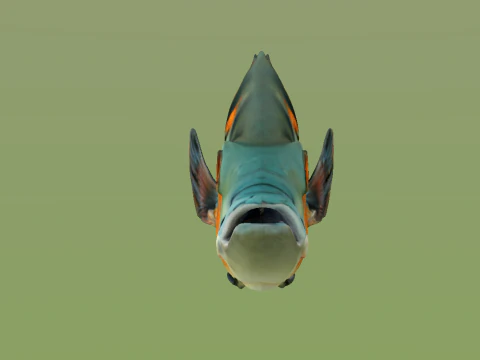 10 aquarium fish OWENDAL 3D Model