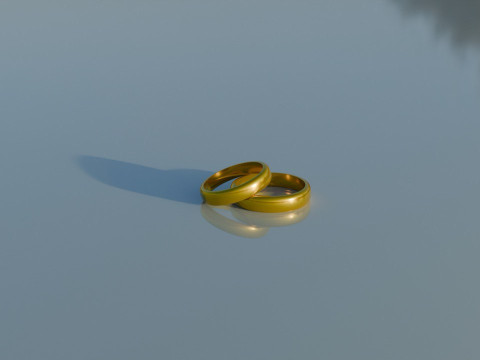 Wedding rings Modello 3D