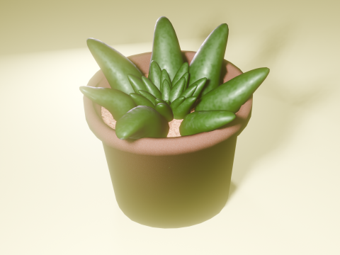 of Succulent 3D Model