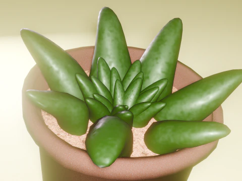 of Succulent 3D Model