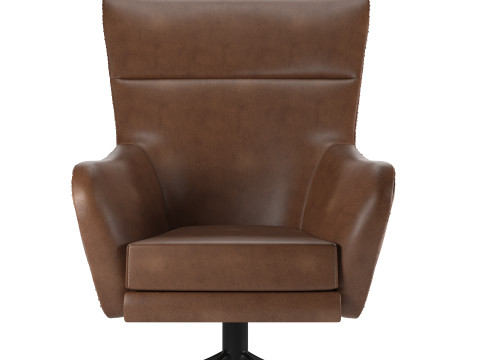 Finch ArmChair 3D Model