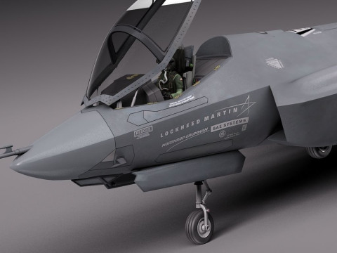 Lockheed Martin F-35 Lightning II Figures 3D Принт Модель