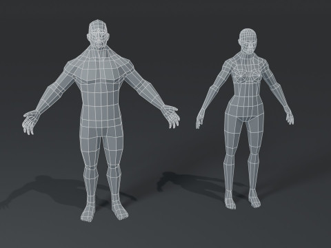 Human Body Base Mesh 10 Models Pack 1000 Polygons 3D Модель