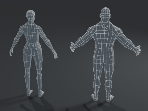 Human Body Base Mesh 10 Models Pack 1000 Polygons 3D Модель