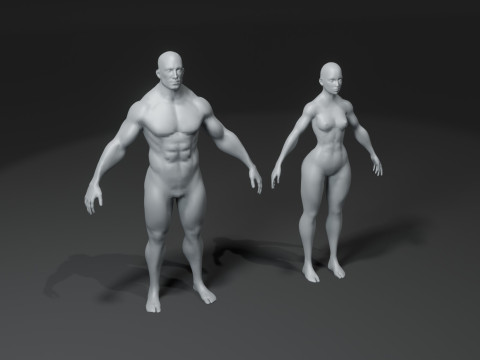 Human Body Base Mesh 10 Models Pack 10k Polygons 3D Model