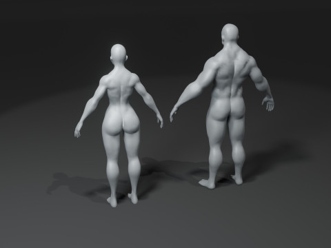 Human Body Base Mesh 10 Models Pack 10k Polygons 3D Model