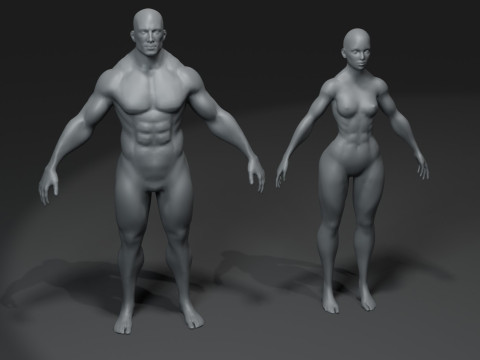 Human Body Base Mesh 10 Models Pack 20k Polygons 3D Model