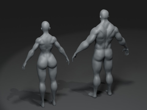Human Body Base Mesh 10 Models Pack 20k Polygons 3D Model
