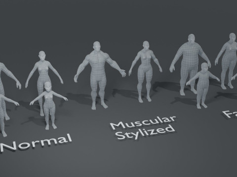 Human Body Base Mesh 10 Models Pack Model 3D