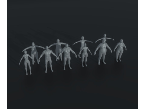Human Body Base Mesh Animated and Rigged 20k Polygons 10 Models Pack 3D Модель