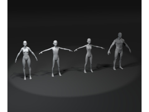Human Body Base Mesh Animated and Rigged 20k Polygons 10 Models Pack 3D मॉडल