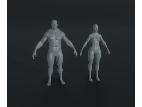 Human Body Base Mesh Animated and Rigged 20k Polygons 10 Models Pack 3D मॉडल