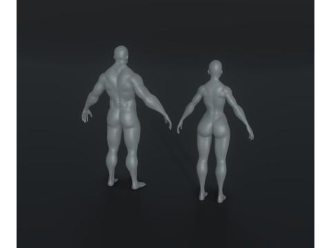 Human Body Base Mesh Animated and Rigged 20k Polygons 10 Models Pack 3D मॉडल