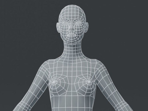 Female Body Base Mesh 3D Model